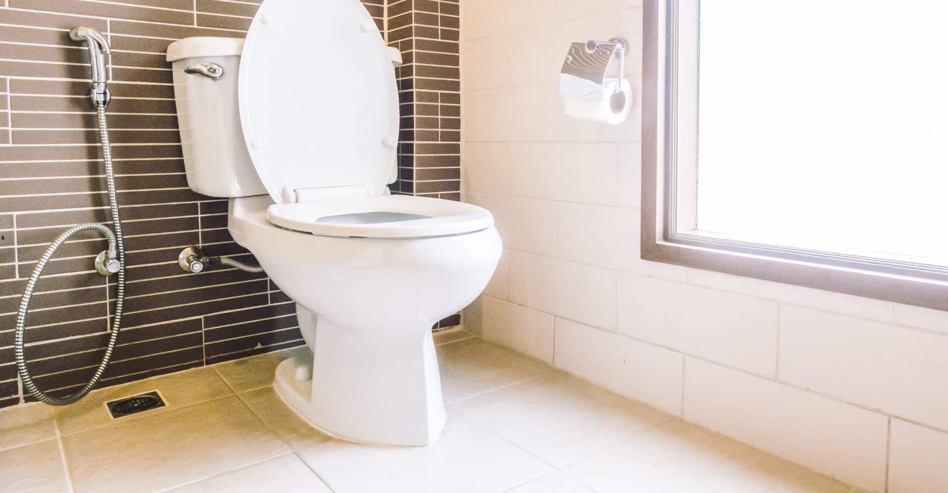 How to Unclog a Toilet - Pristine Plumbing