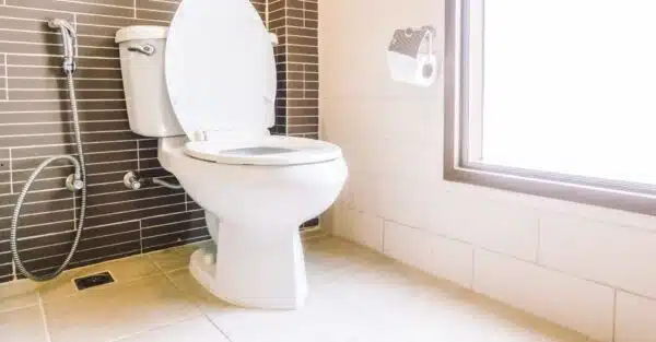 How to Unclog a Toilet - Pristine Plumbing