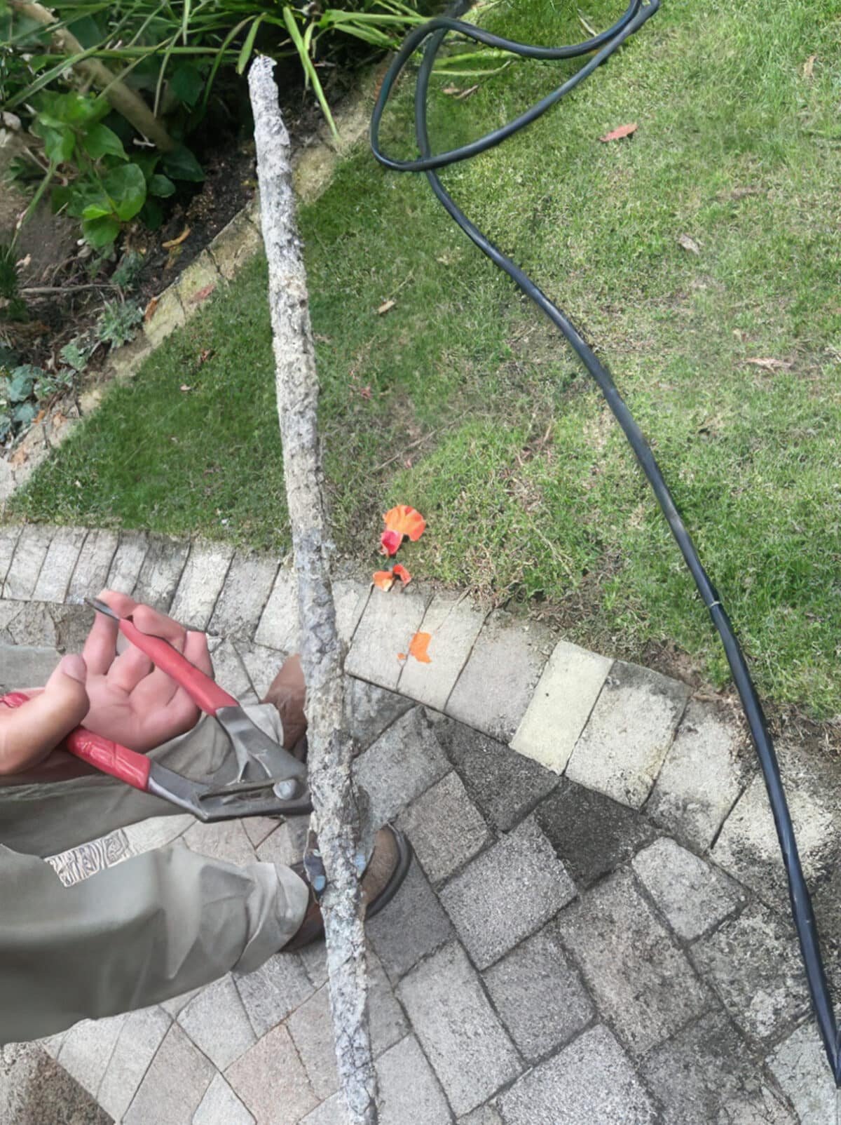 Your Trusted Orange County Plumber - Pristine Plumbing
